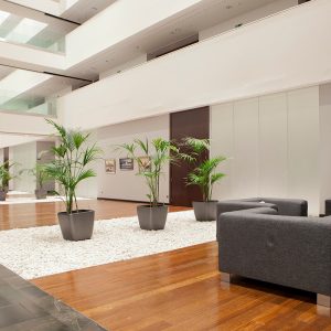 fotos_02_galeria_hotel_HALL_13 fotos_02_galeria_hotel_HALL_13